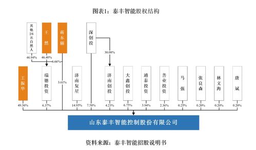 泰丰智能 自主创新与财务健康下的智能系统集成挑战